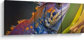 Obraz - Kolorowy legwan (z zegarem) (90x30 cm)