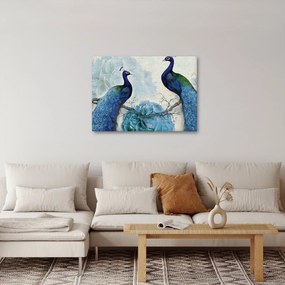 Obraz - Pawie tekstury (70x50 cm)