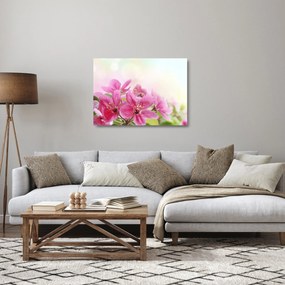Obraz na szkle - Różowe kwiaty (70x50 cm)