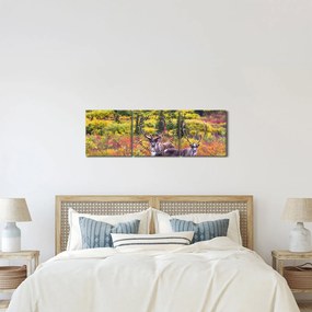 Obraz - Renifer tundrowy (z zegarem) (90x30 cm)