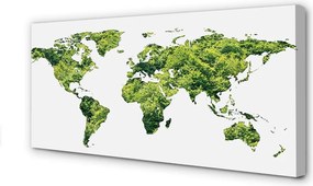 Obraz canvas na ścianę Mapa na Zielonej Trawie