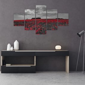 Obraz maków (125x70 cm)