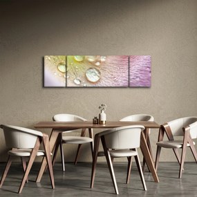 Obraz - Krople rosy (170x50 cm)