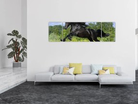Obraz - Koń z płynącą grzywą (170x50 cm)