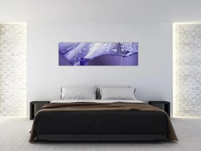 Obraz - Płatek z kroplami (170x50 cm)