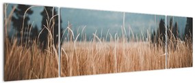 Obraz - szczegół łąki (170x50 cm)