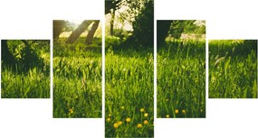 Obraz natury - łąka (125x70 cm)