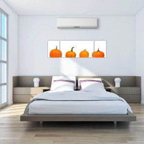 Obraz dyni (170x50 cm)