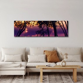 Obraz - Drzewa o zachodzie słońca (170x50 cm)