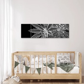 Obraz - Krople (170x50 cm)