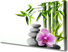 Obraz canvas Harmonijna Kompozycja Spa