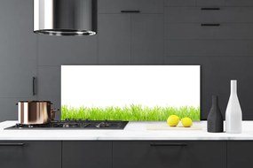 Szkło Ozdobne do Kuchni Soczysty Naturalny Trawnik