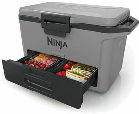 Ninja FB151EUGY lodówka turystyczna Frost Vault, 47 l, L