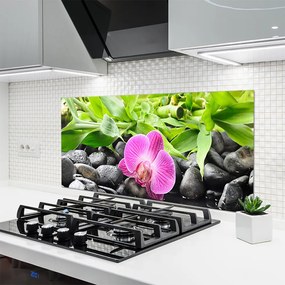 Szkło Dekoracyjne do Kuchni Wyrafinowana Orchidea Doniczkowa