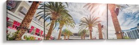 Obraz - palmy z basenem (170x50 cm)