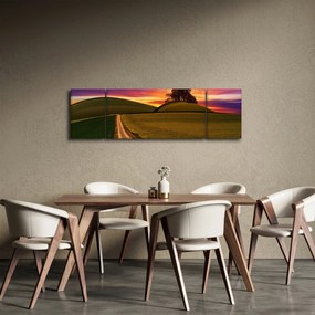 Obraz pola z zachodem słońca (170x50 cm)