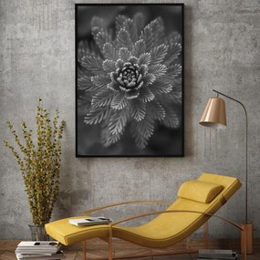 Plakat - Conifer Grey (A4)