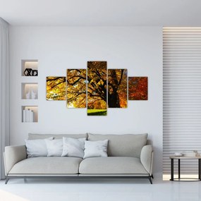 Obraz jesiennego drzewa (125x70 cm)