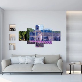 Obraz - Lewandowe pole (125x70 cm)
