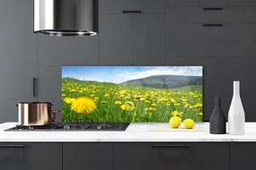 Szkło do Kuchni na Ścianę Polny Urok Mniszka