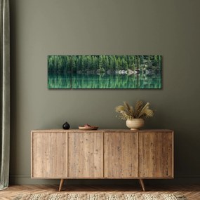 Obraz - drzewa iglaste nad jeziorem (170x50 cm)