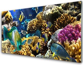 Panel Szklany do Kuchni Kolorowe Życie Rafy Koralowej