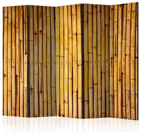 Parawan jednostronny Tła i desenie 225x172 cm 5-częściowy wielokolorowy ARTGEIST B