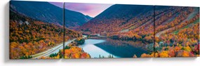 Obraz - White Mountain, New Hampshire, USA (170x50 cm)