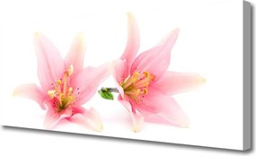 Obraz na płótnie Urokliwa Flora Kwiatowa