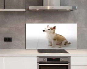 Panel szklany do Kuchni Mały Szczeniak w Pozycji Siedzącej