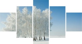 Obraz zaśnieżonego krajobrazu (125x70 cm)