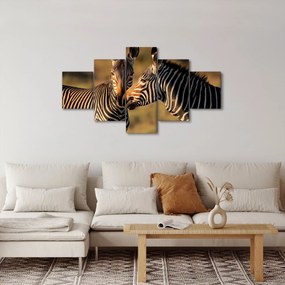 Obraz - Dwie zebry (125x70 cm)