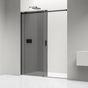 Drzwi prysznicowe przesuwne ze ścianką NT806 FLEX