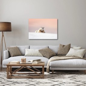 Obraz - Niedźwiedź polarny (70x50 cm)