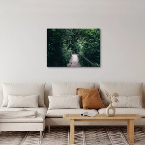 Obraz - Ścieżka przez las (70x50 cm)