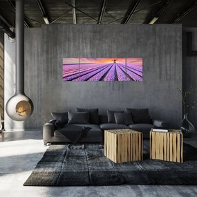 Obraz - farma kwiatów (170x50 cm)