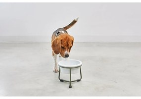 Porcelanowa miska ze stojakiem dla psów ø 20 cm Pranzo Grolive M – MiaCara