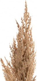 Gałązka Trawy Pampasowej 90cm beige