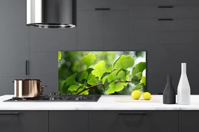 Panel Szklany Zielone Liście na Gałęzi