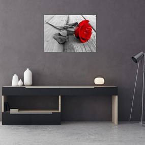 Obraz czerwonej róży (70x50 cm)