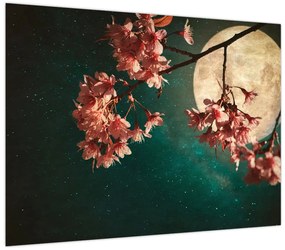 Obraz - Kwiat wiśni podczas pełni (70x50 cm)