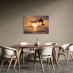 Obraz na szkle - Delfin o zachodzie słońca (70x50 cm)
