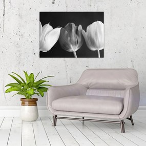 Obraz na szkle - Czarno - białe kwiaty tulipanów (70x50 cm)