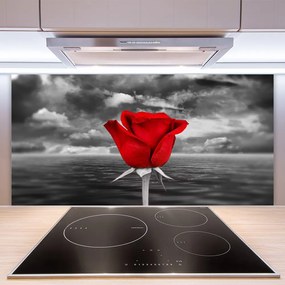 Panel Kuchenny Dzika Róża Nad Brzegiem Morza