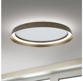 Orion DL 7-699/45-LED Ściemn. lampa MANTA LED/38W/230V 2700/3000/4000K śr. 45 cm