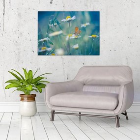 Obraz na szkle - Motyl na stokrotce (70x50 cm)