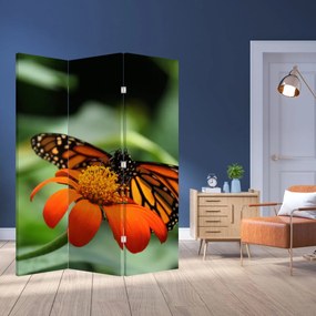 Parawan - Motyl na kwiatku (126x170 cm)