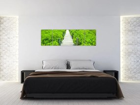 Obraz - drewniany chodnik (170x50 cm)