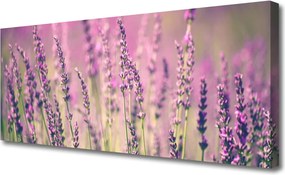 Fotoobraz na płótnie Rozkwitająca Natura w Kwiatach