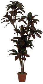 Sztuczna roślina (wysokość 170 cm) – Ixia